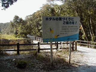 宮崎県（産母地区ホタルの里）