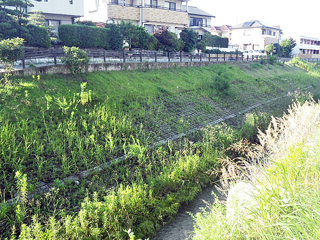 熊本県(藻器堀川)