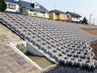 熊本県(秋津川)