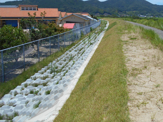 佐賀県(松浦川)