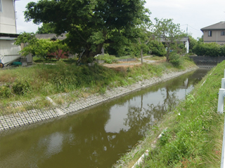 佐賀県(クリーク）