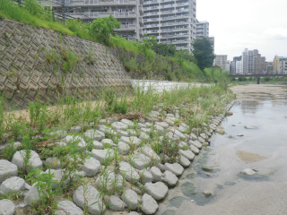 樋井川(福岡県)